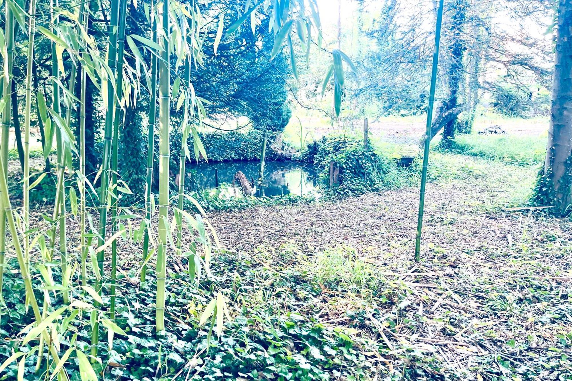 Villa Edouard - 180M2 In Nature & Forest - 20Min Disney - 7Min Airport Claye-Souilly Zewnętrze zdjęcie